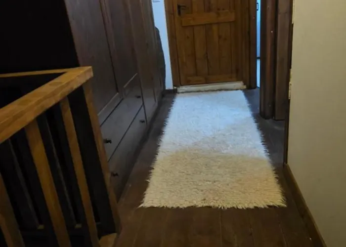 Alpesi faház Cozy Stone Retreat